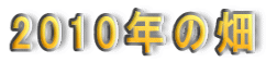 2010N̔