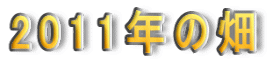 2011N̔